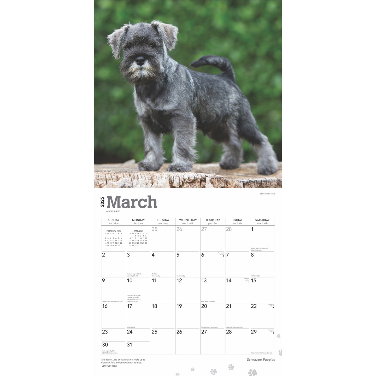 Schnauzer Puppies | 2025 12 x 24 Inch Monthly Square Wall Calendar | Plastic-Free | BrownTrout | Animals Dog Breeds Puppy