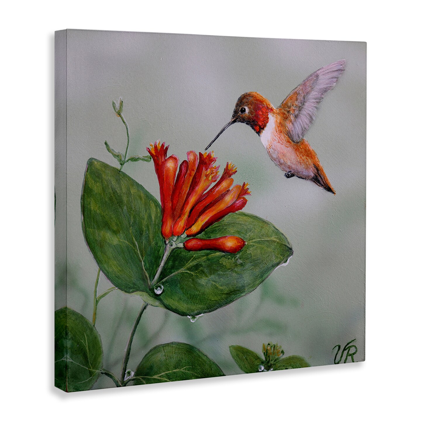 Stupell Industries Red Hummingbird & Flower Canvas Wall Art Design by Valerie Rogers
