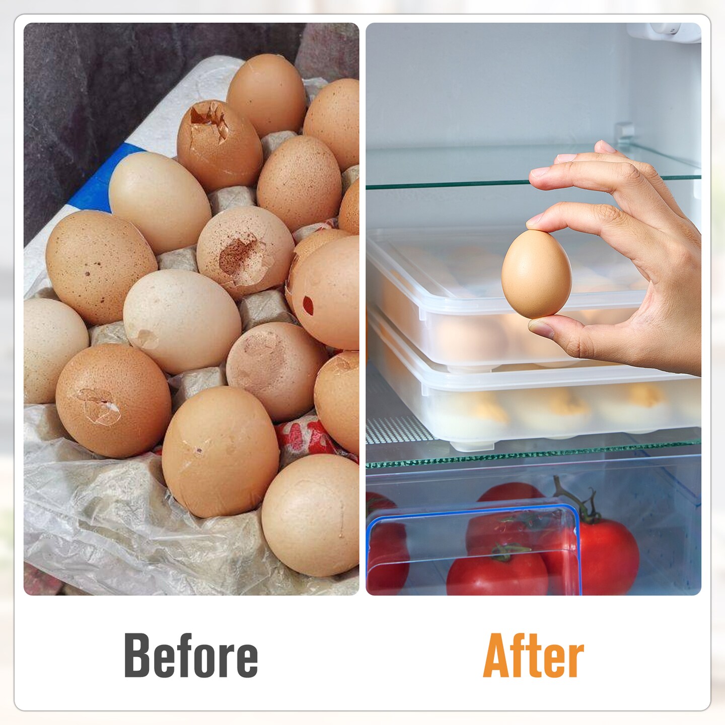 Sorbus Set of 2 Egg Containers with Lids - Clear Deviled Egg Carrier Tray - Stackable & Portable Dispenser (Holds 48-Egg)