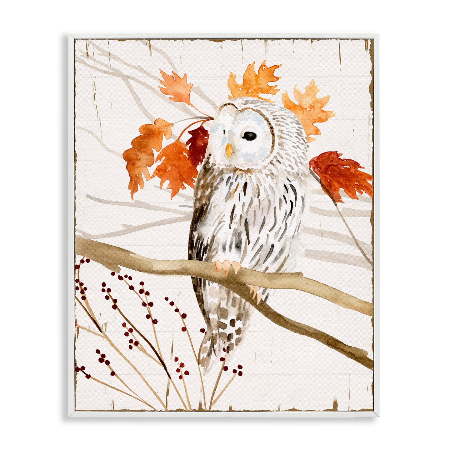 Stupell Industries Owl In Autumnal Forest Framed Giclee Art