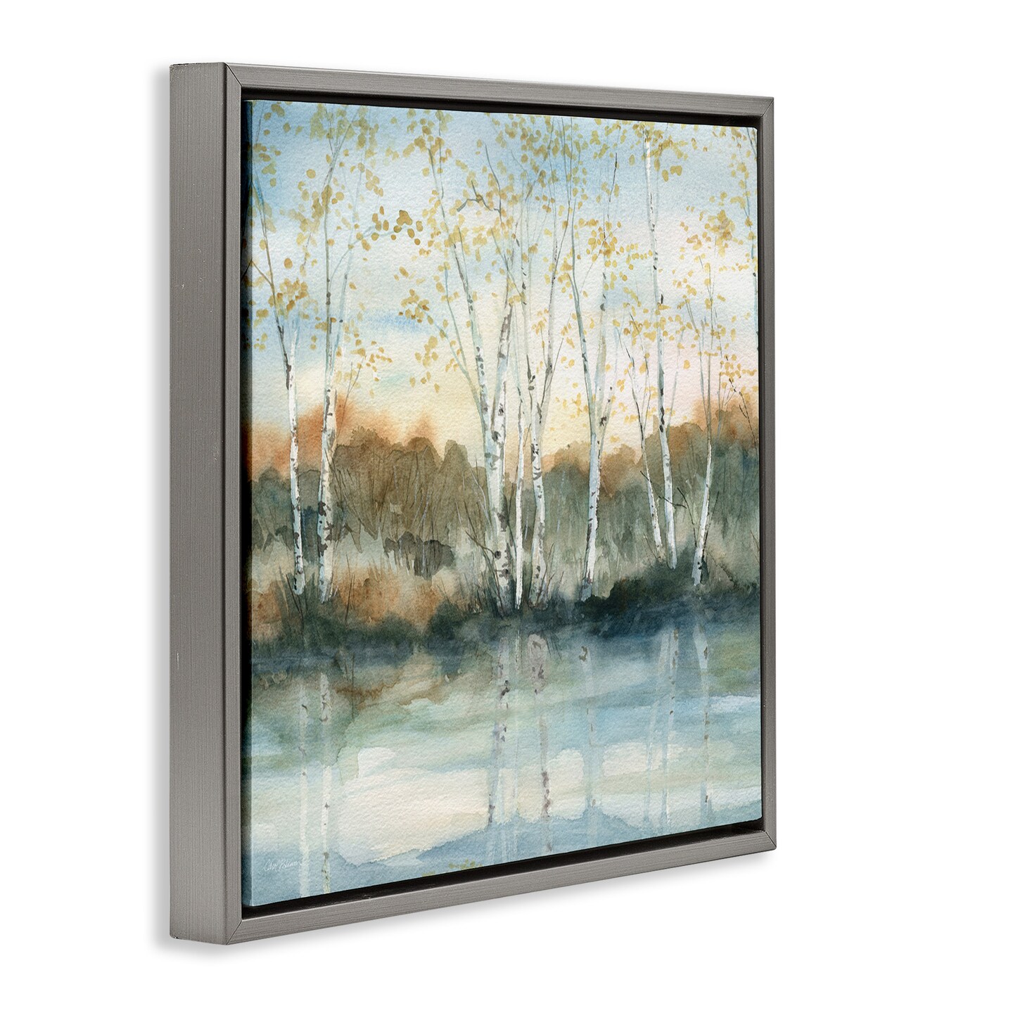 Stupell Industries Quaint Birch Tree Reflections Framed Floater Canvas Wall Art