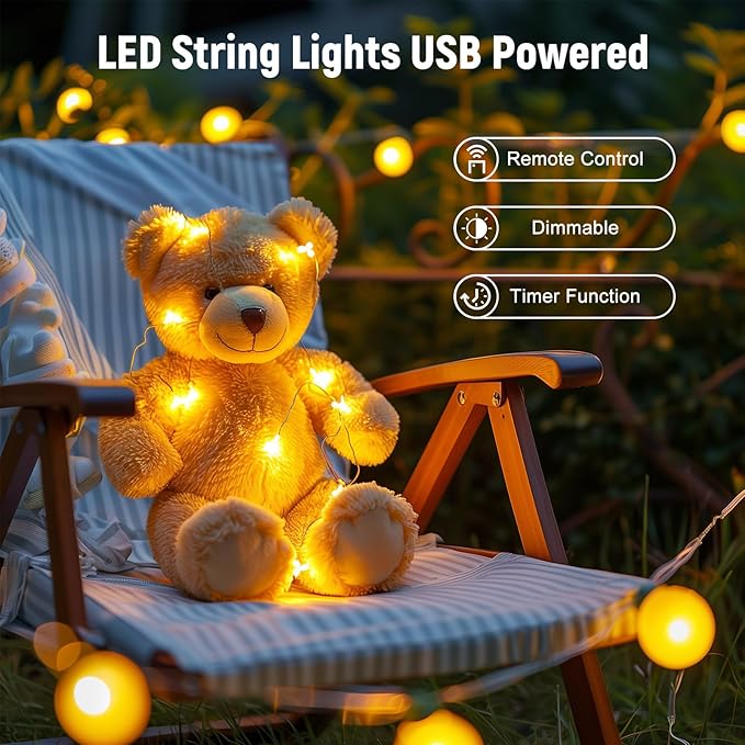 100 LED String Lights - 39.5 Ft USB Plug in Twinkle Fairy Lights with 8 Modes and Remote, Indoor String Lights for Bedroom Classroom Christmas Tree Party Wedding Decorations, Warm White