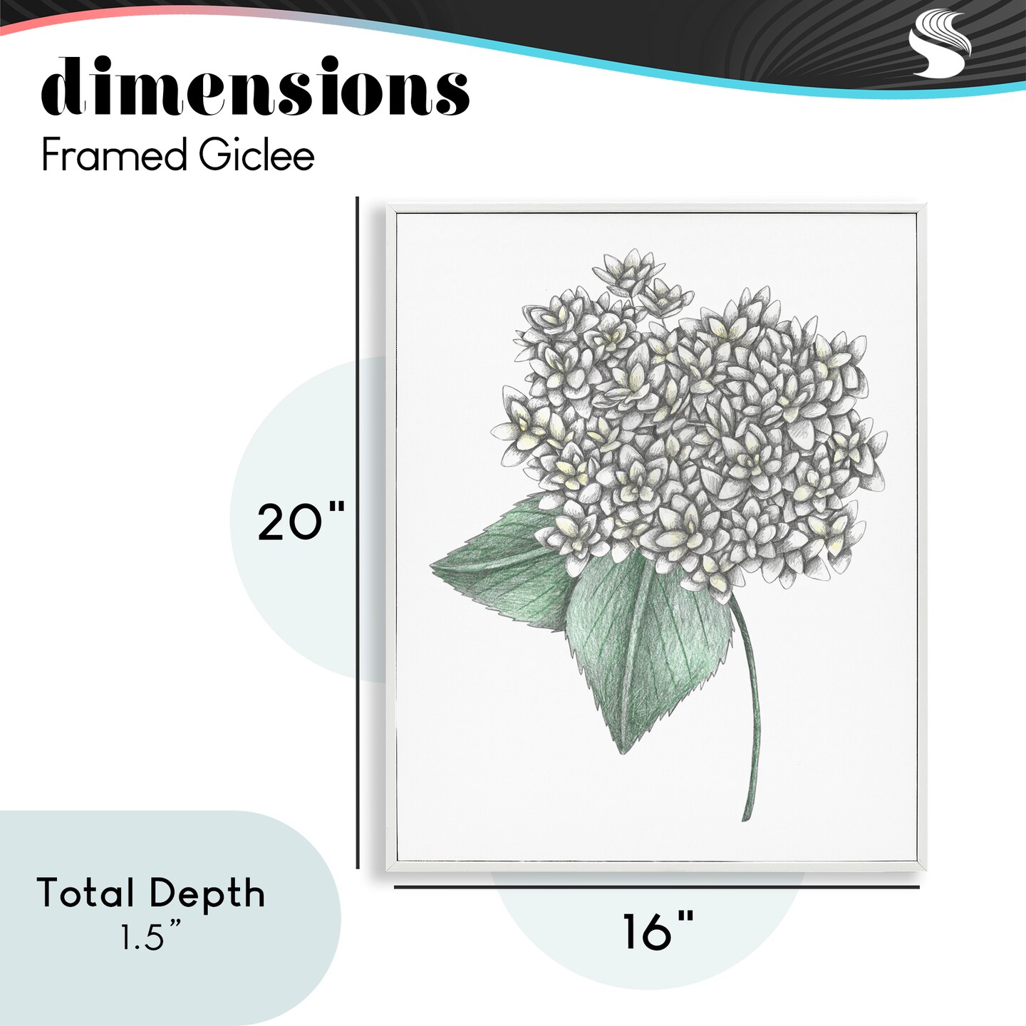 Stupell Industries White Hydrangea Sketch Blossom Framed Giclee, design by Cecilia Battaini