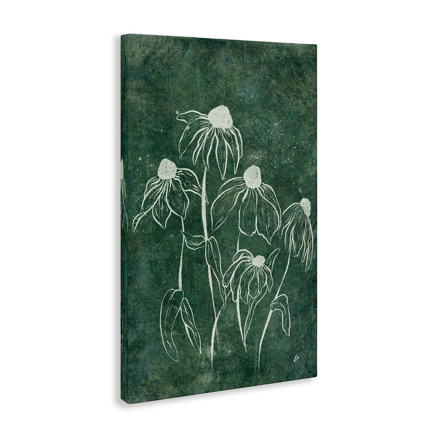 Stupell Industries Echinacea Garden Blooms Canvas Wall Art Design by Lydia Orange