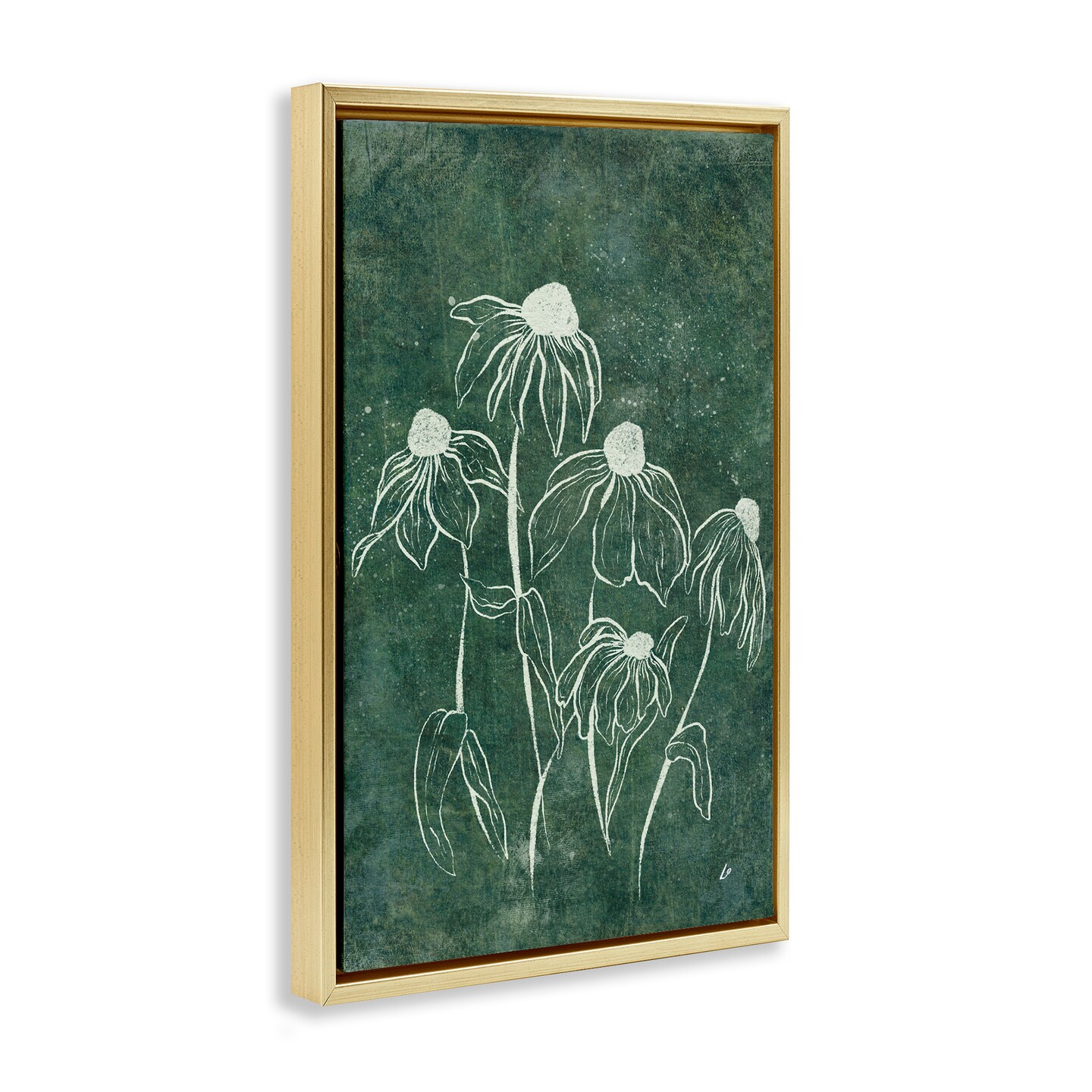 Stupell Industries Echinacea Garden Blooms Floater Framed Canvas Wall Art Design by Lydia Orange