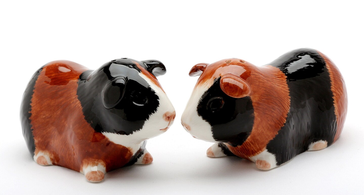 Hand Painted Ceramic Guinea Pig Salt &#x26; Pepper Shakers, Home D&#xE9;cor, Gift for Her, Gift for Mom, Kitchen D&#xE9;cor