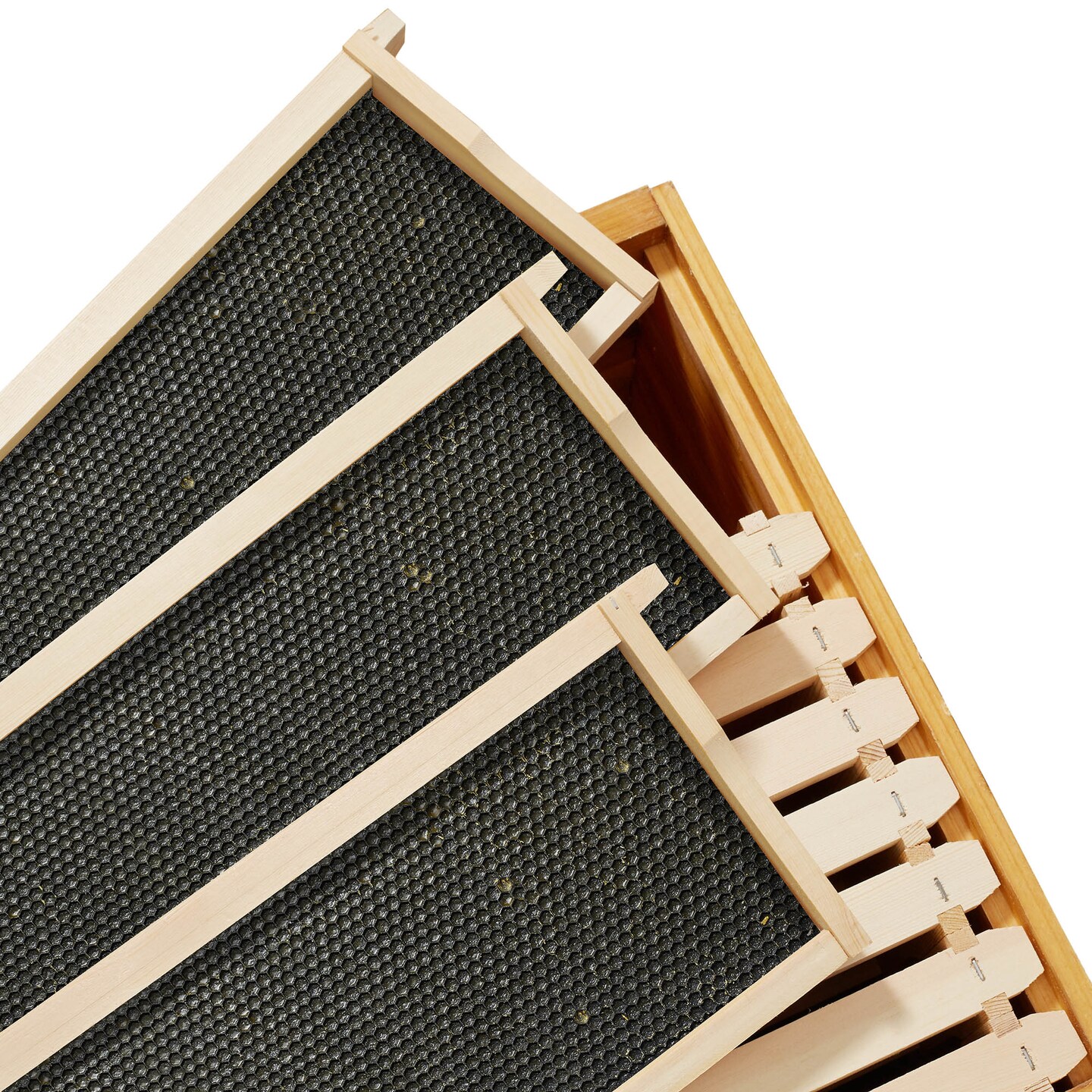 Honey Keeper 10-Pack Unassembled Beehive Frames with Natural Beeswax Foundations for Beekeeping, Medium Super - 6-1/4 inch
