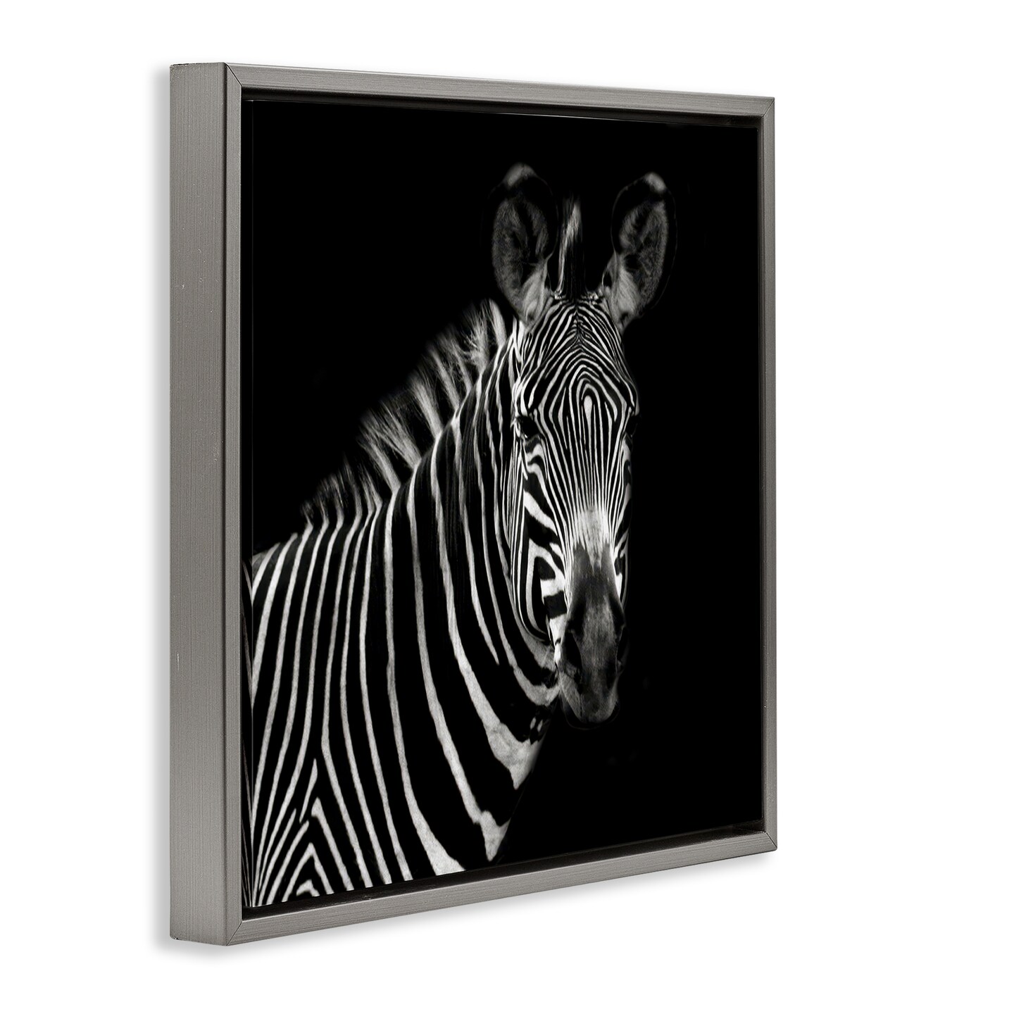 Stupell Industries Jungle Zebra Portrait Framed Floater Canvas Wall Art Design by Susan Bryant