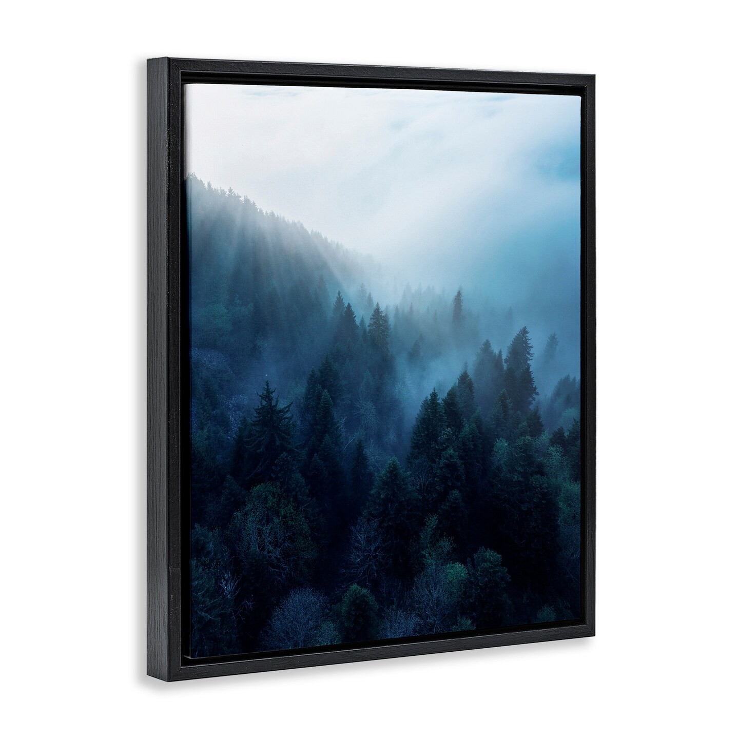Stupell Industries Daylight over Pine Forest Framed Floater Canvas Wall Art