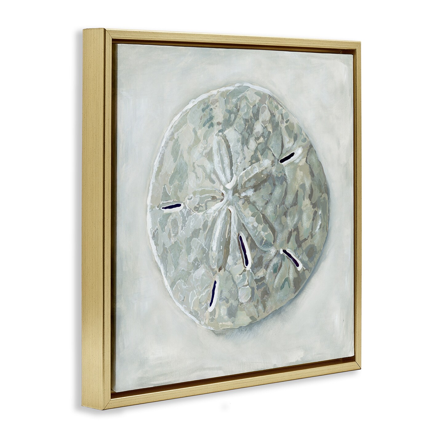 Stupell Industries Grey Sand Dollar Seashell Framed Floater Canvas Wall Art
