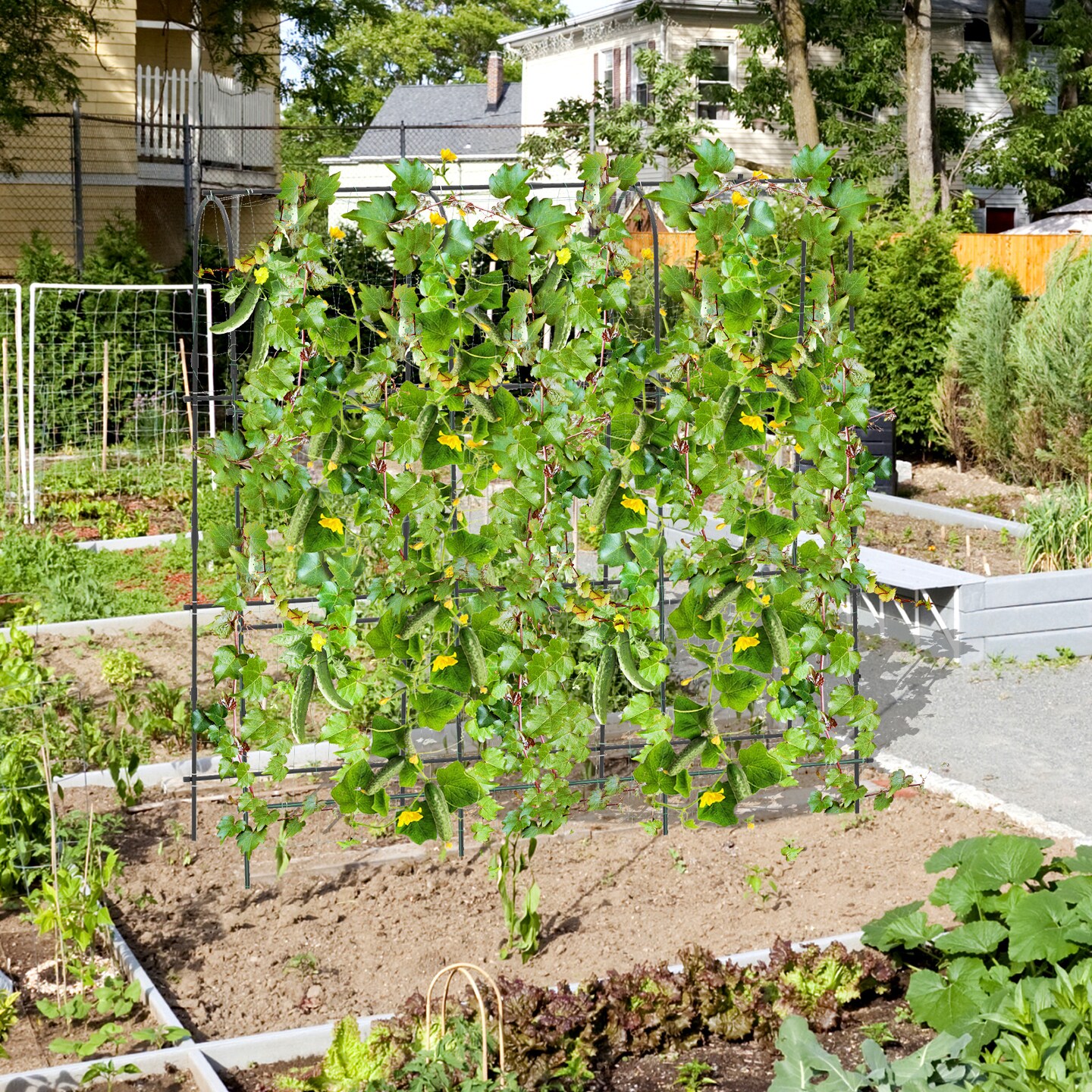 Garden Cucumber Trellis with Adjustable U-Shaped Frame and PE-Coated Metal