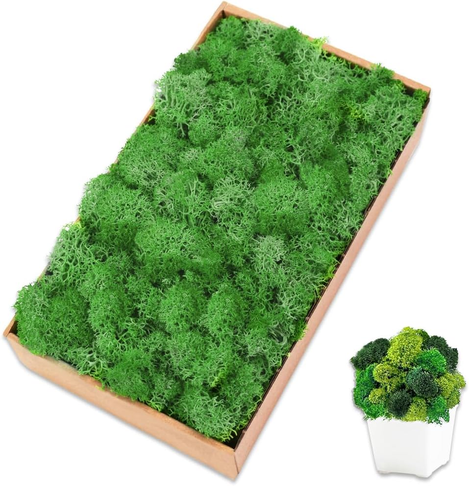 Preserved Moss for Crafts Green Reindeer Moss for Potted Plants, Craft Decorative Moss Decor for Wall Art, Dried Moss