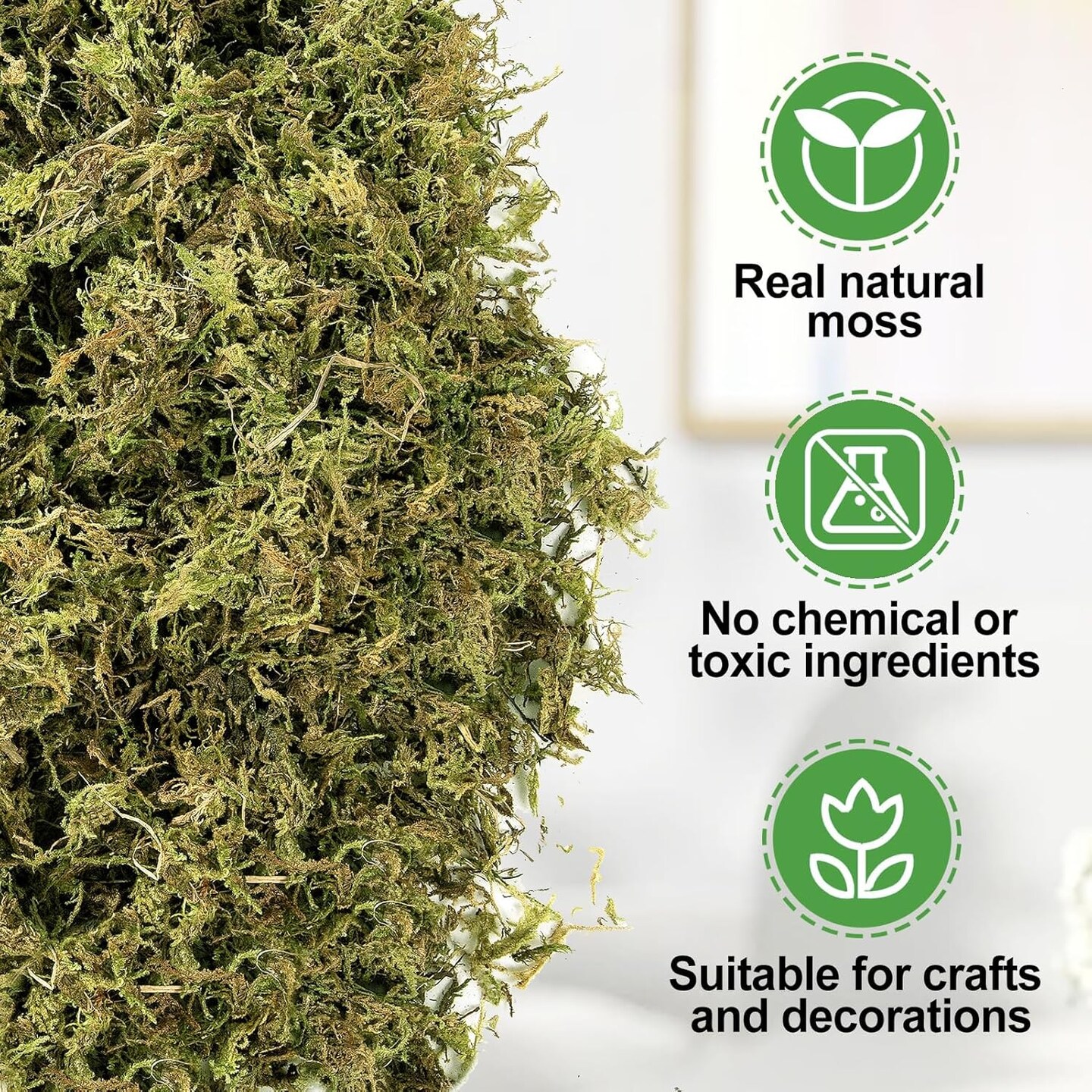 Large Pack Natural Green Moss for Crafts - Bulk Moss for Plants Indoor, Artificial Fairy Gardens, Mosswall, Glass Terrariums, Filling Fake Plants, Home Decoration