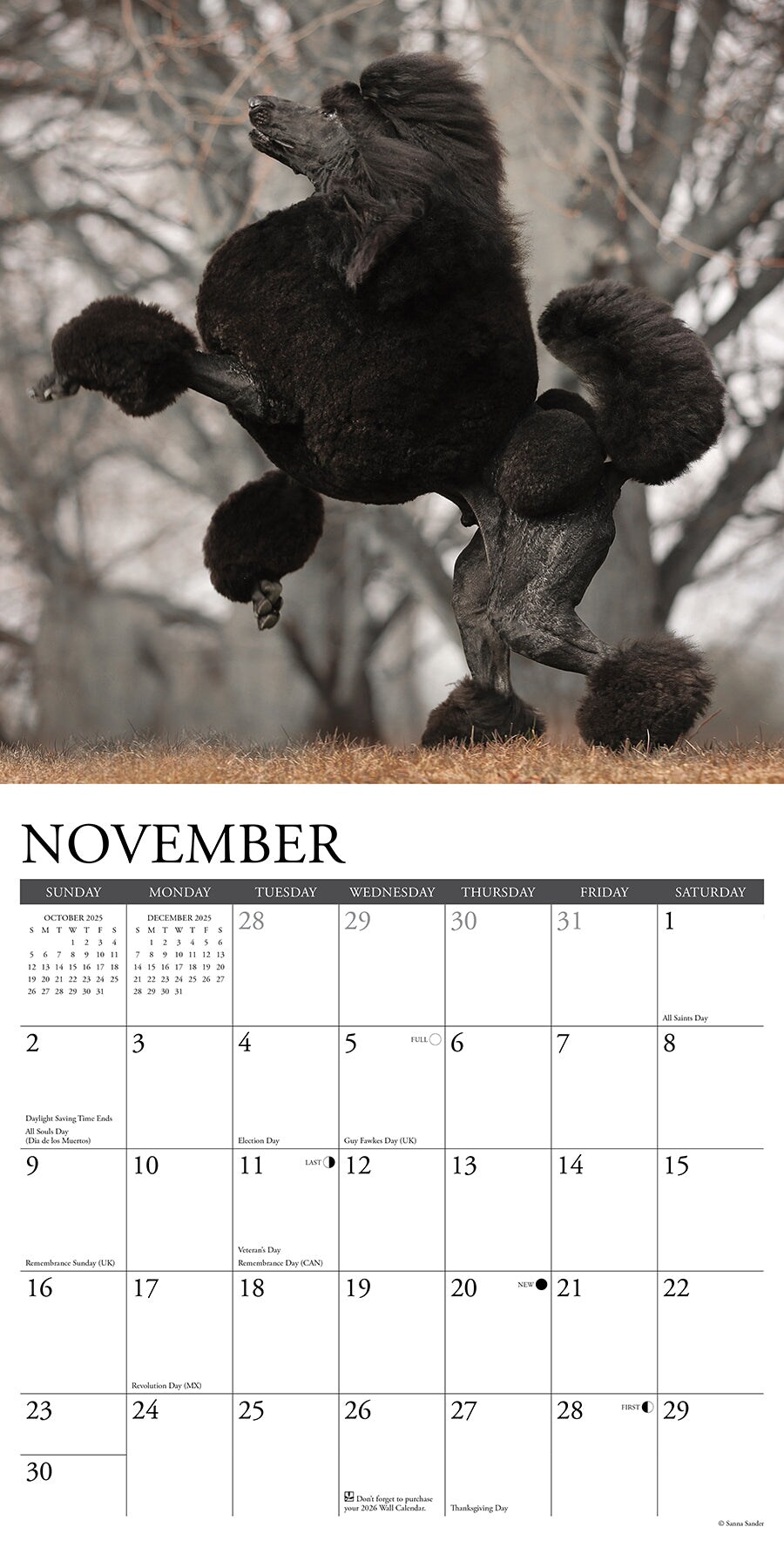 Poodles 2025 Wall Calendar