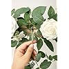 Ceremony Reception Hanging Eucalyptus Rose Arbor Arrangement Outdoor Party Swag Home Decorations