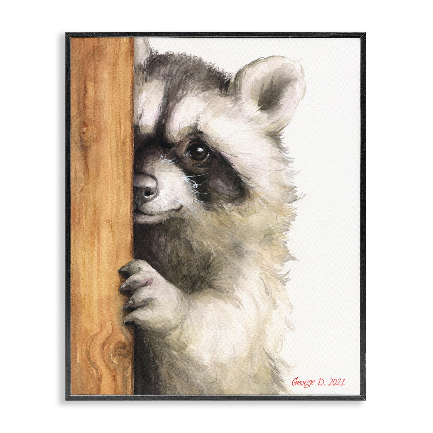 Stupell Industries Peering Raccoon Watercolor Framed Giclee Art
