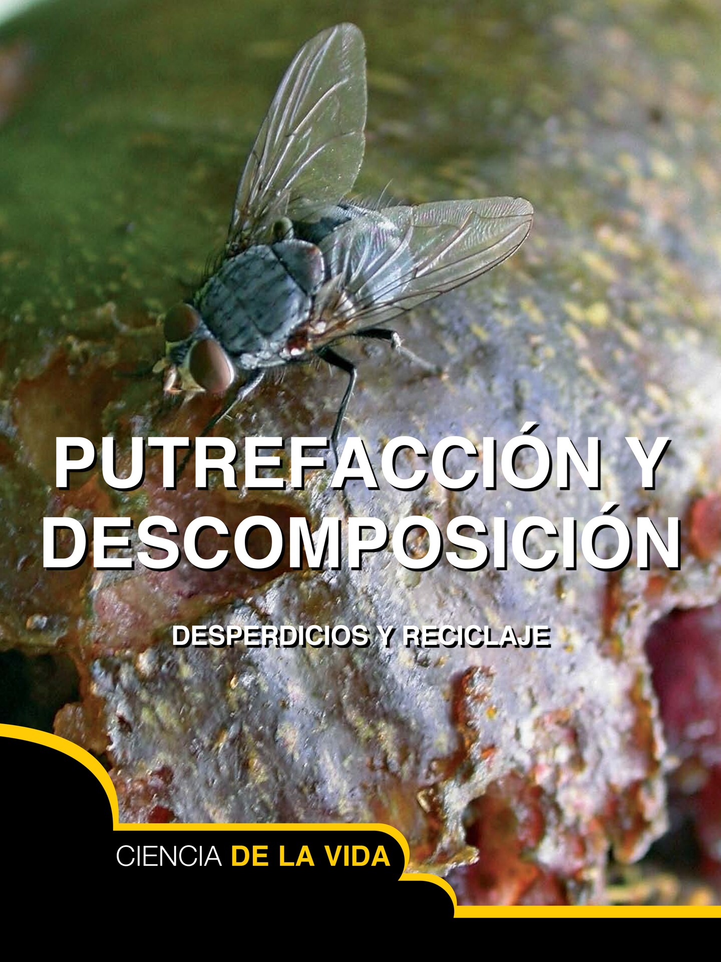 Rourke Educational Media Putrefacci&#xF3;n y descomposici&#xF3;n
