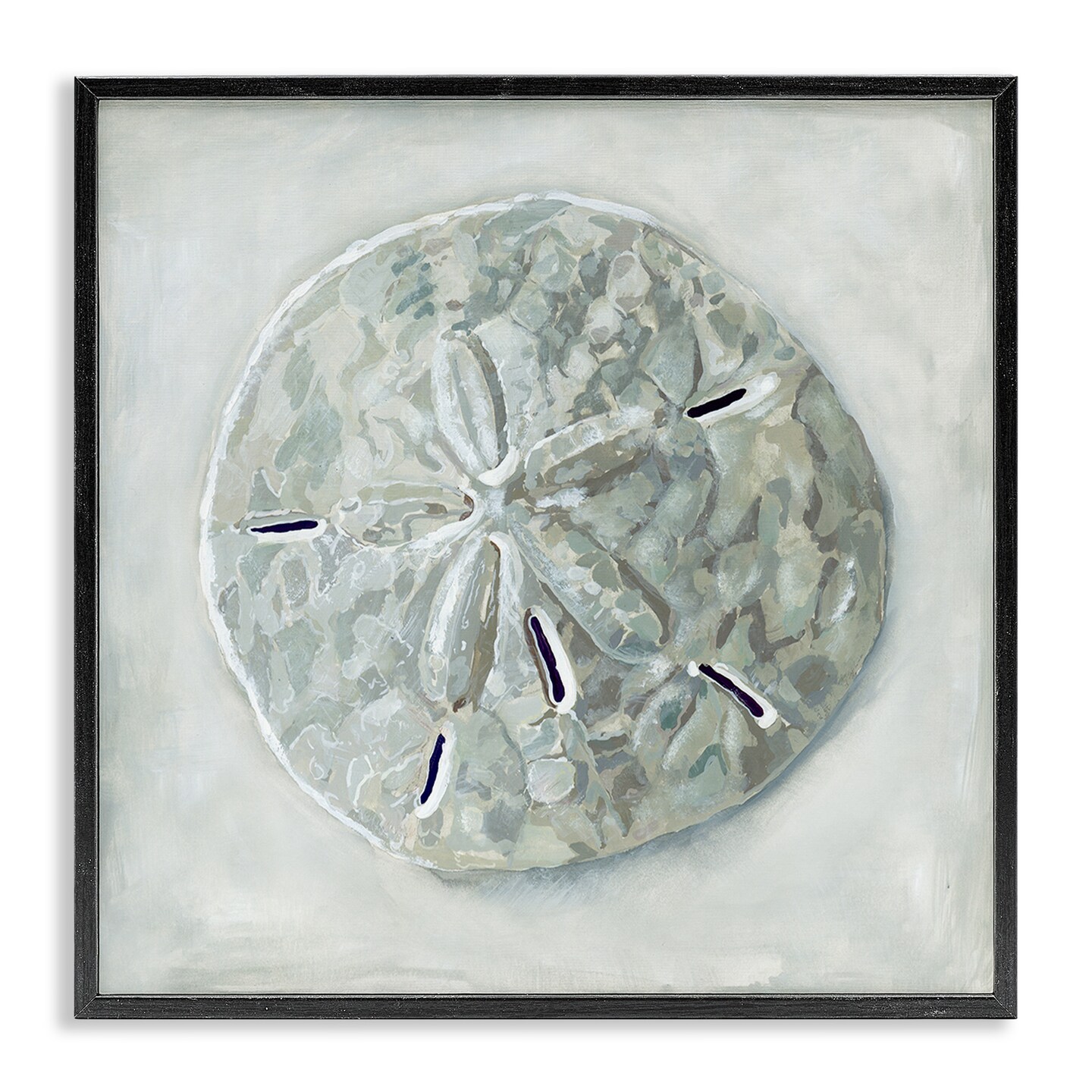 Stupell Industries Grey Sand Dollar Seashell Framed Giclee Art
