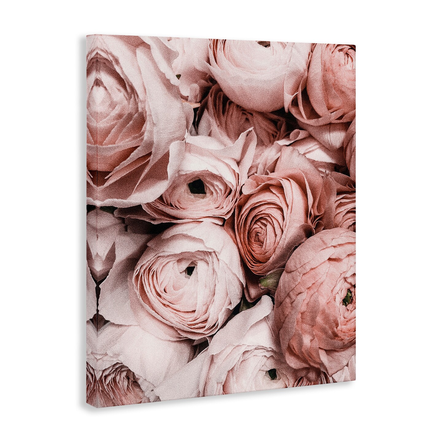 Stupell Industries Pink Muted Peonies Canvas Wall Art