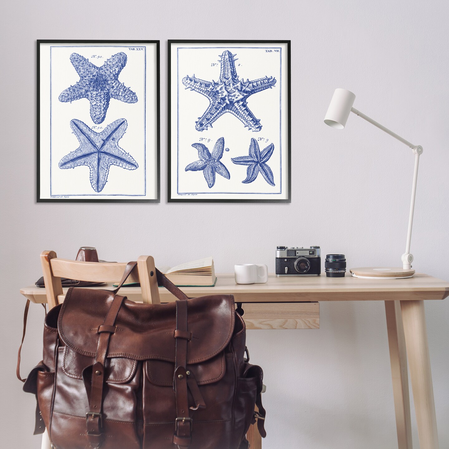 Stupell Industries Diagram of a Starfish 2 pc Framed Giclee Wall Art Set Design by Vision Studio