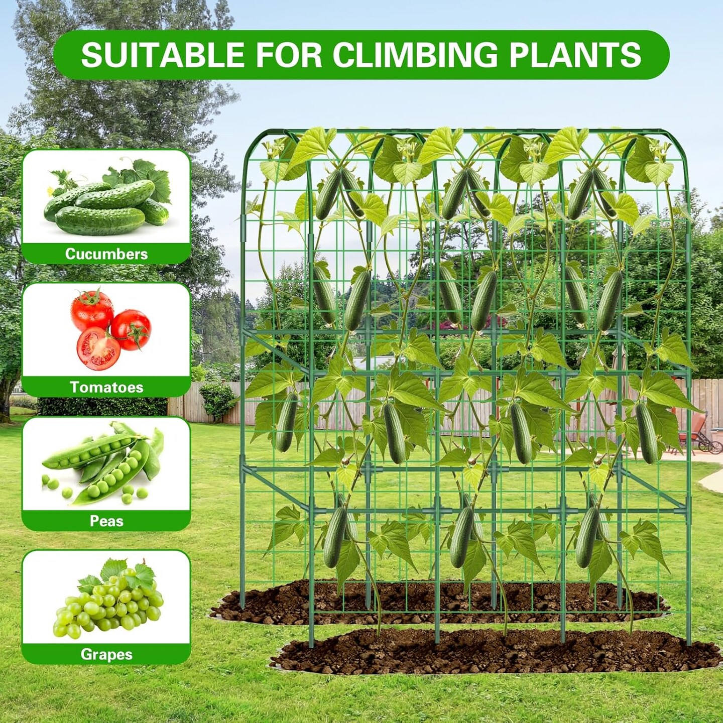 Garden Cucumber Trellis for Raised Bed, 65&#x22;&#xD7;50&#x22;