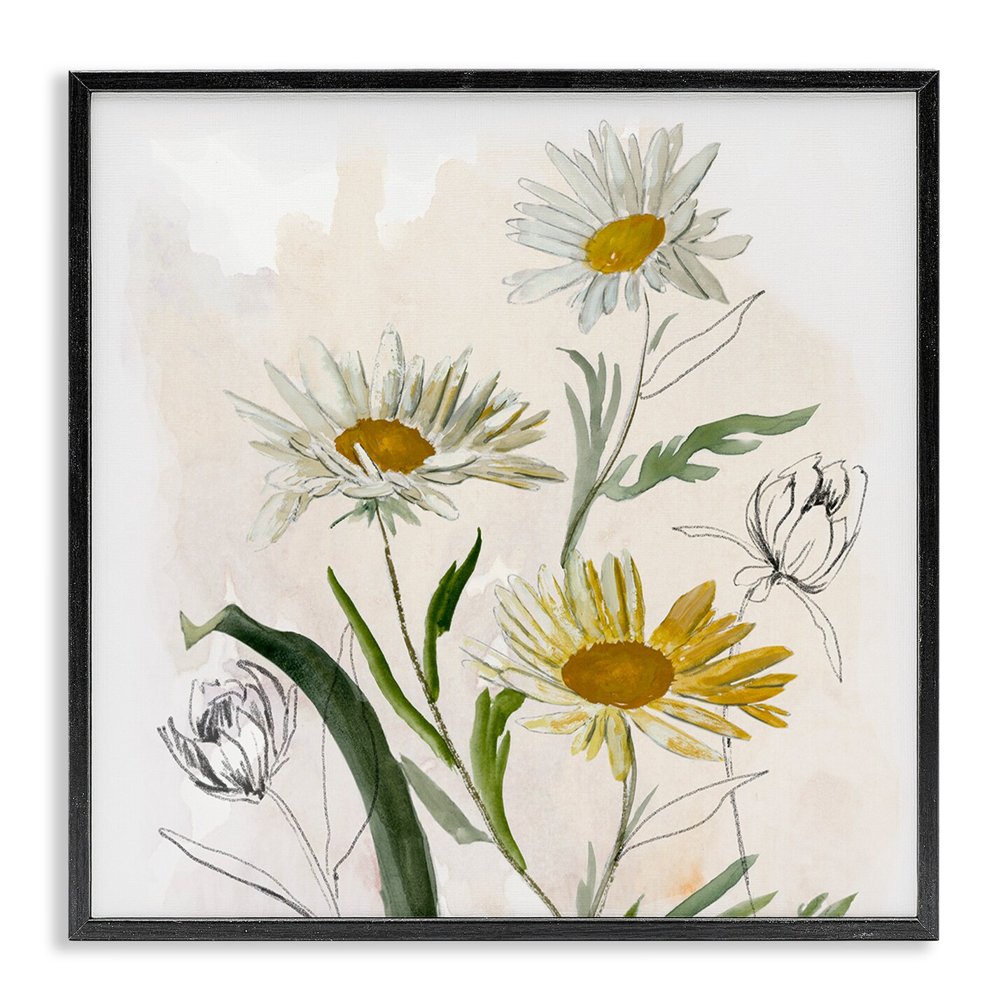 Stupell Industries Pure Simplicity Daisies Framed Giclee, design by Jacob Q