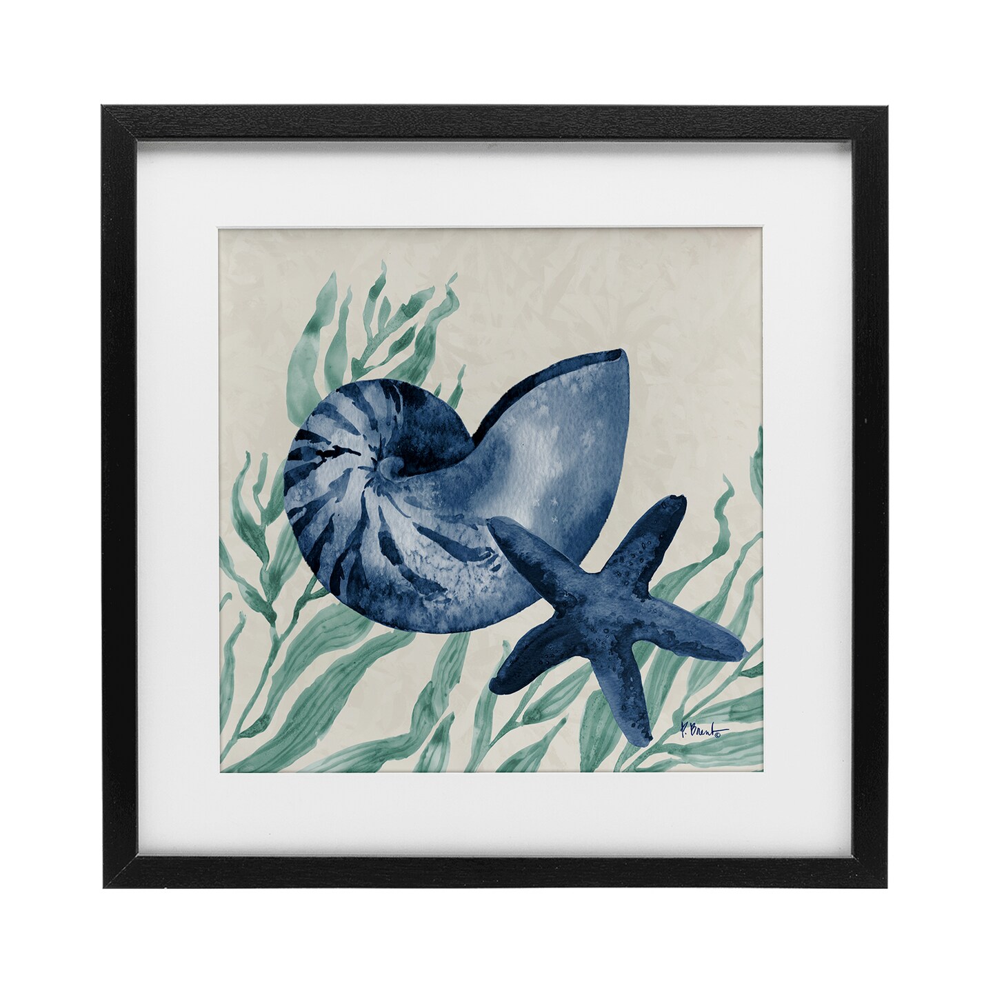 Stupell Industries Nautical Tampico Shells Framed Print Under