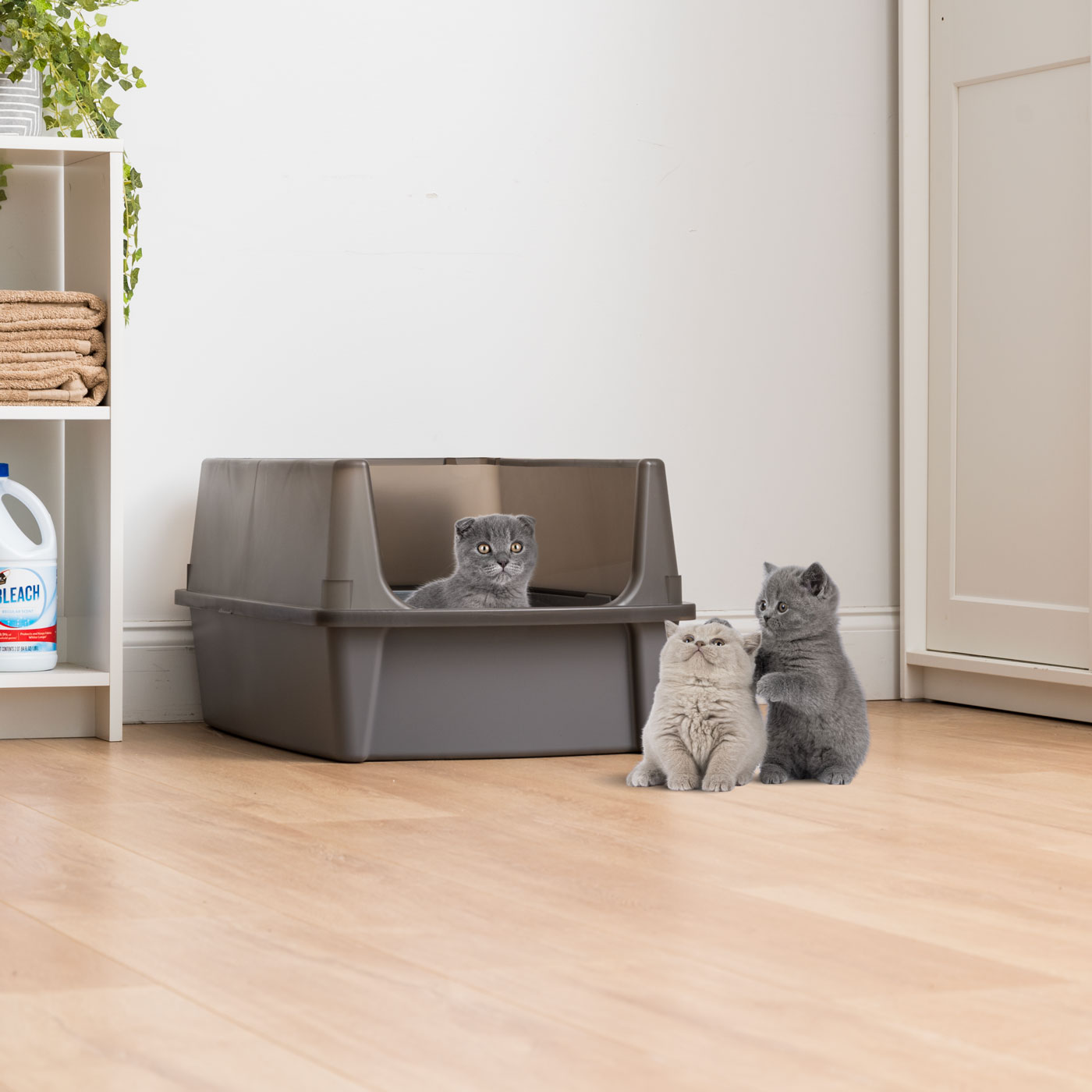 IRIS USA Extra Large Open Top Cat Litter Box with Scatter Shield, Sturdy Easy to Clean Open Air Kitty Litter Pan with Tall Spray