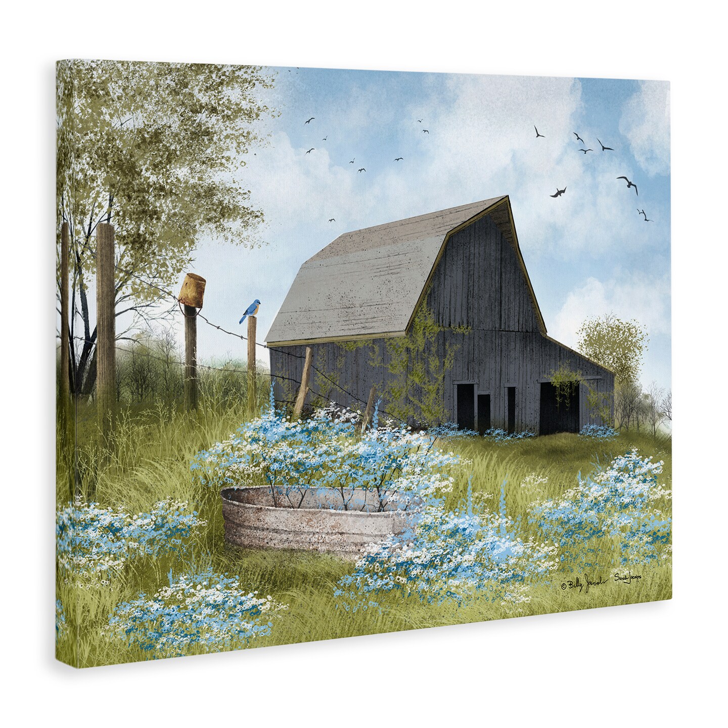 Stupell Industries Blue Floral Country Garden Canvas Wall Art Design by Billy Jacobs