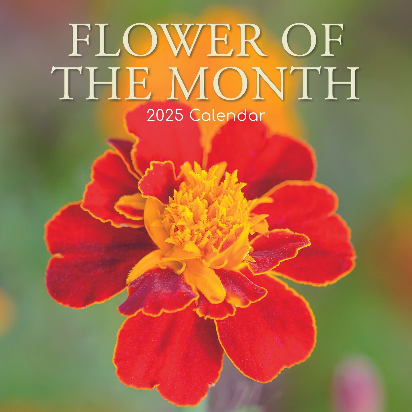 The Gifted Stationary 2025 Square Wall Calendar, Flower of the Month ...