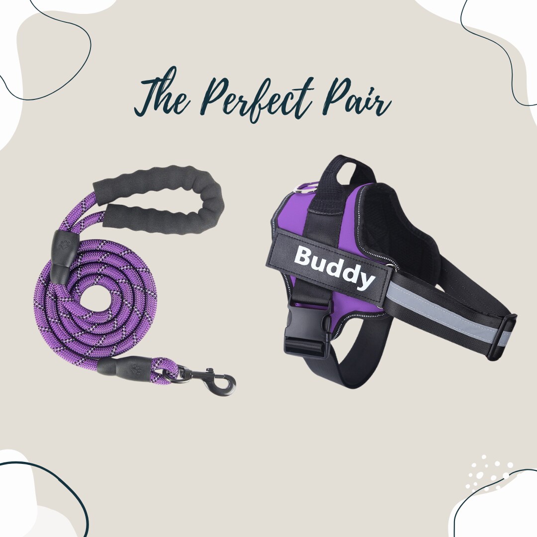 Custom Dog Harness and Leash Set Personalized Patches