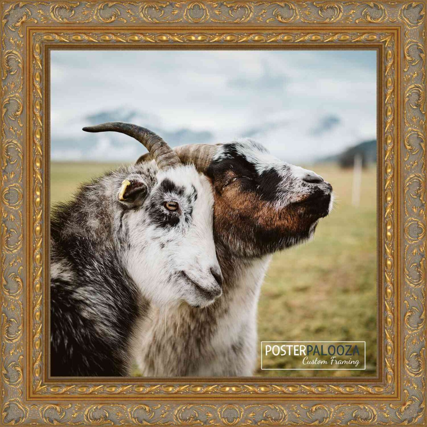 Square Contemporary Gold Picture Frame - UV Acrylic, Foam Board Backing, Hanging Hardware