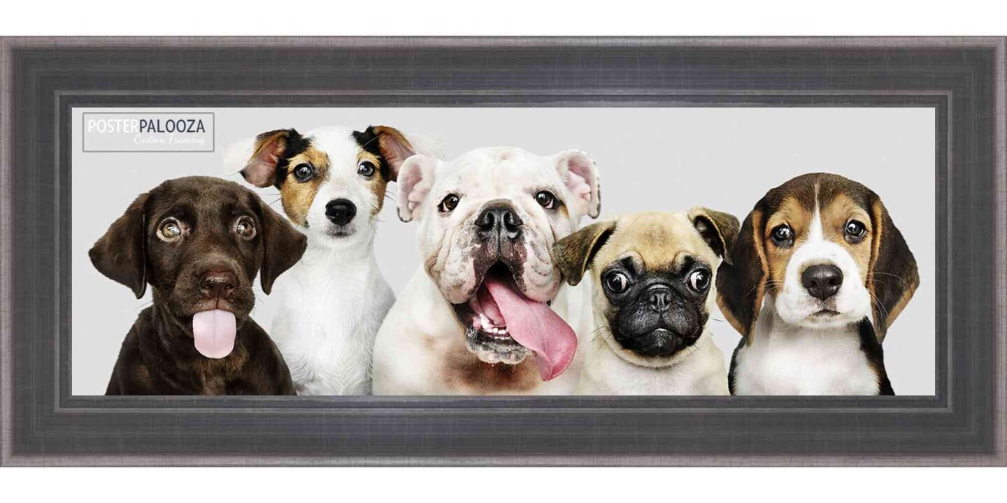 Panoramic Elegant Silver Picture Frame - UV Acrylic, Foam Board Backing, Hanging Hardware