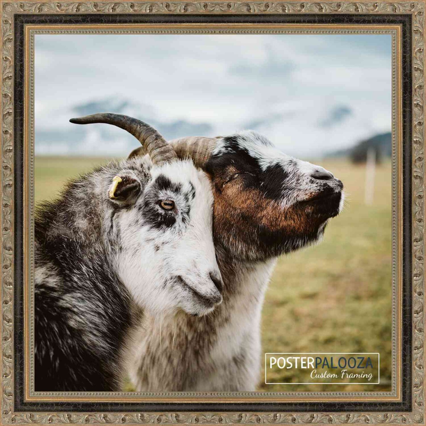 Square Classic Gold Picture Frame - UV Acrylic, Foam Board Backing, Hanging Hardware