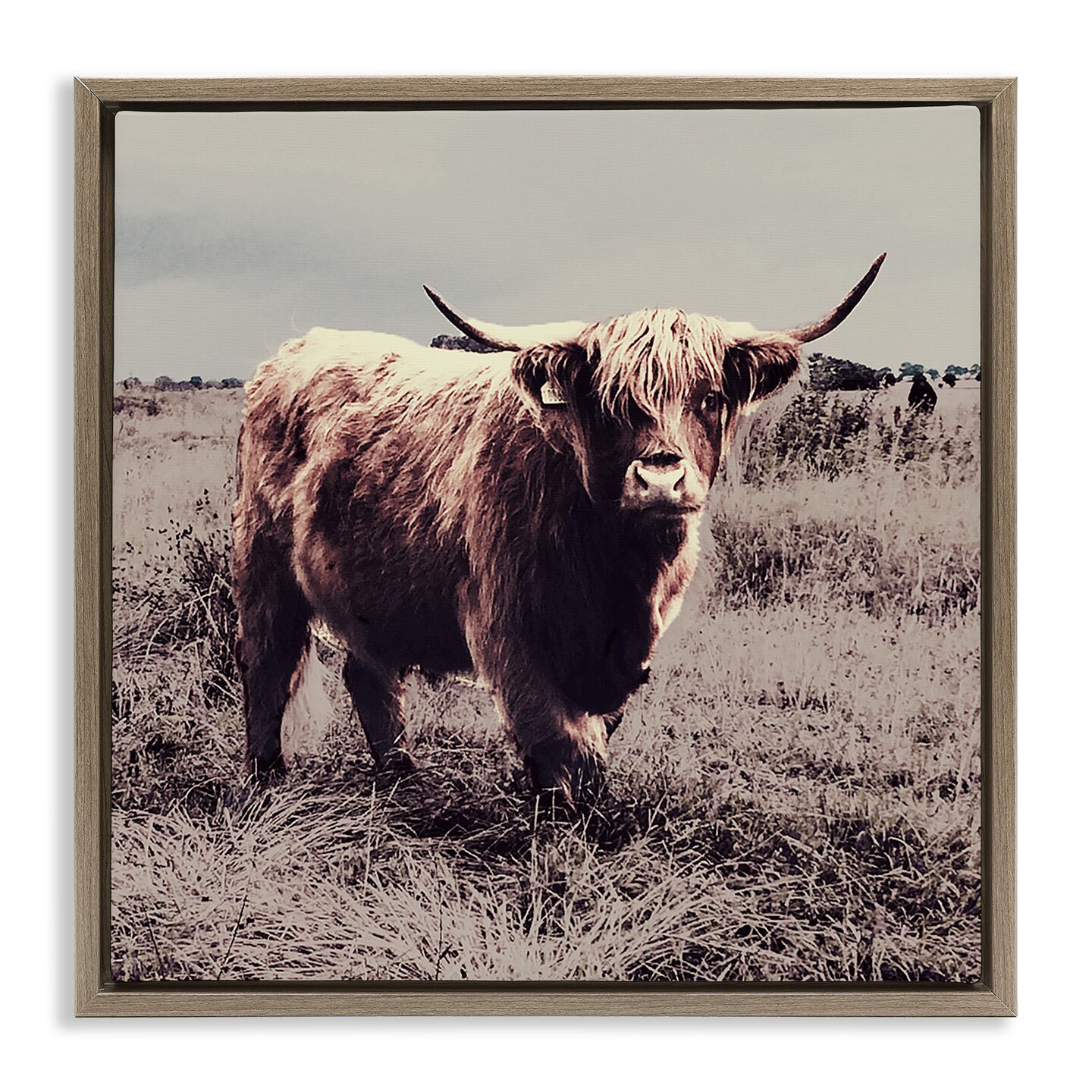 Stupell Industries Farm Cattle Rustic Vintage Styling Framed Floater Canvas Wall Art
