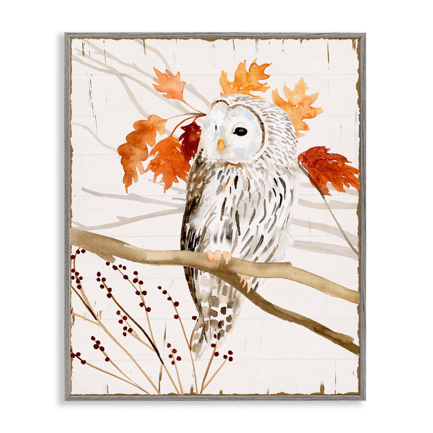 Stupell Industries Owl In Autumnal Forest Framed Giclee Art