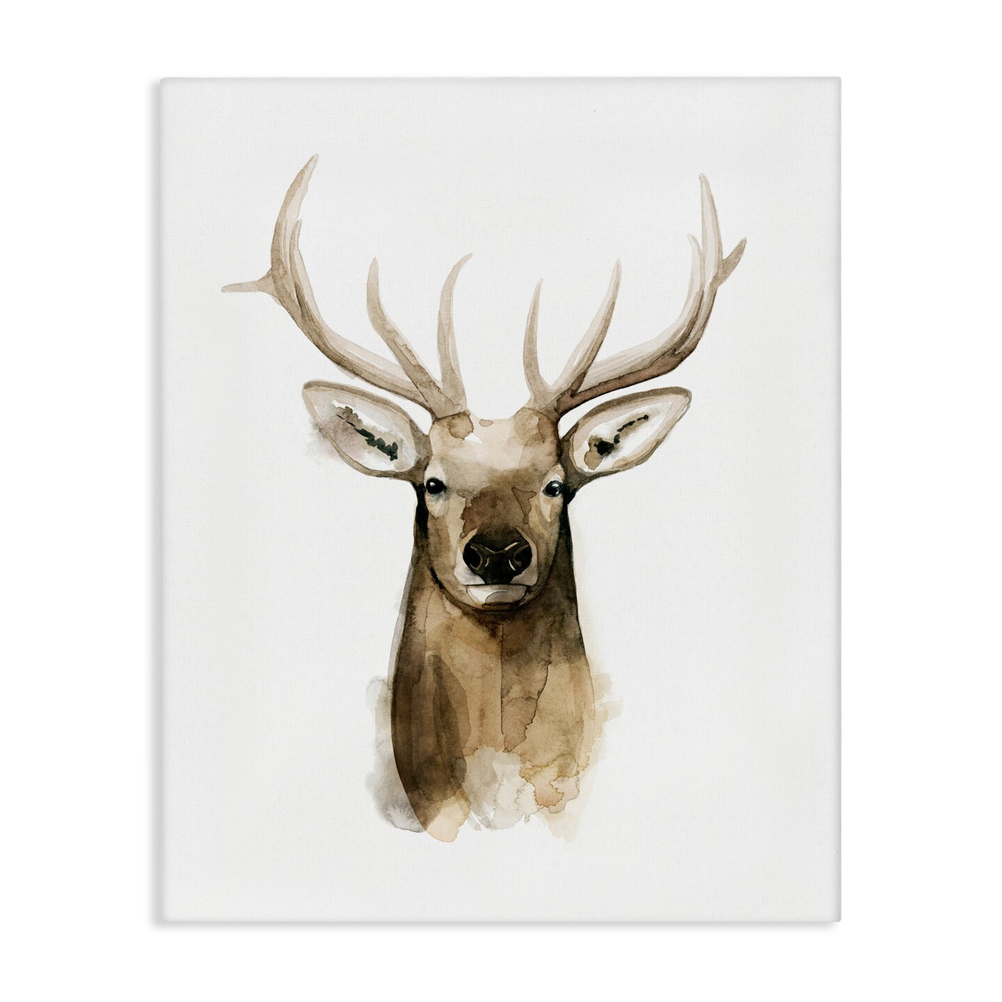Stupell Industries Deer Portrait Watercolor Canvas Wall Art