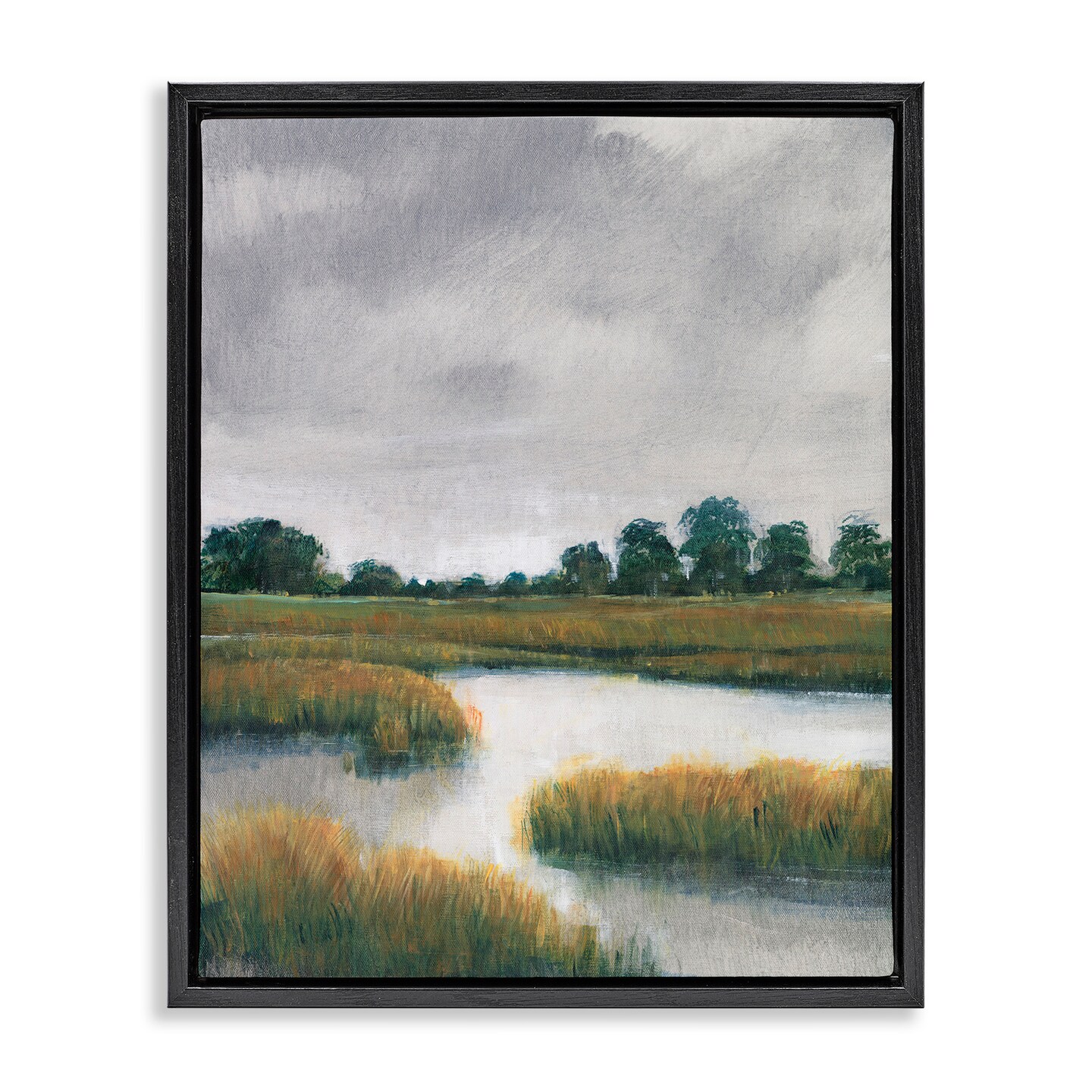 Stupell Industries Cloudy Rural Marsh Landscape Framed Floater Canvas Wall Art