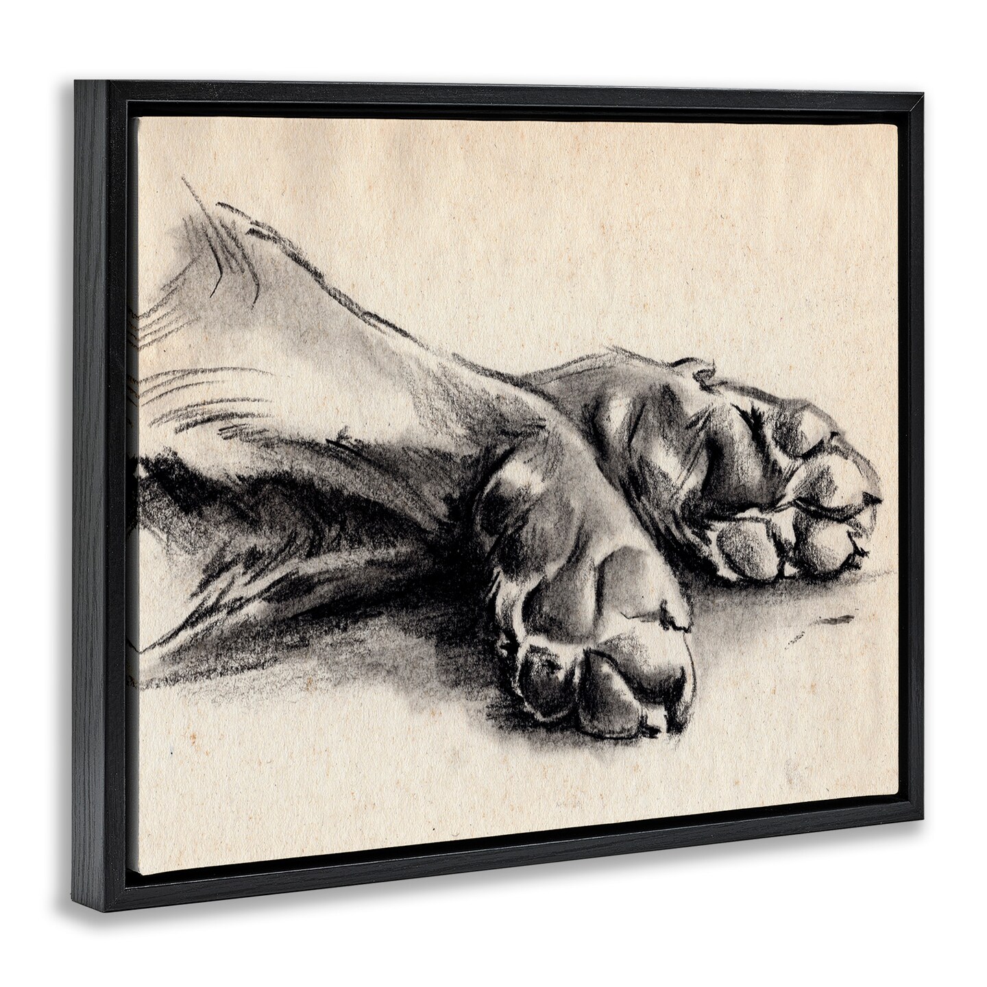 Stupell Industries Dog Paw Charcoal Design Framed Floater Canvas Wall Art