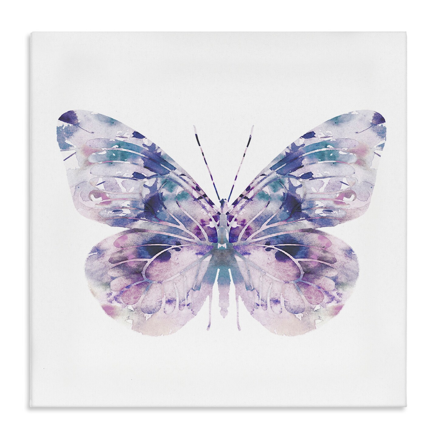 Stupell Industries Delicate Purple Butterfly Wings Canvas Wall Art