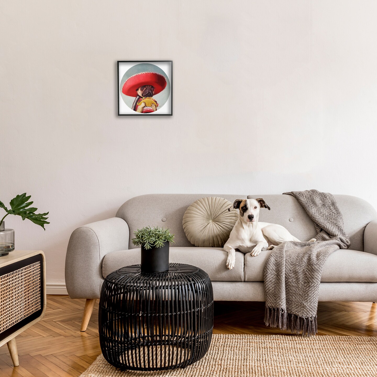 Stupell Industries Pug in Sombrero with Taco Framed Giclee Art