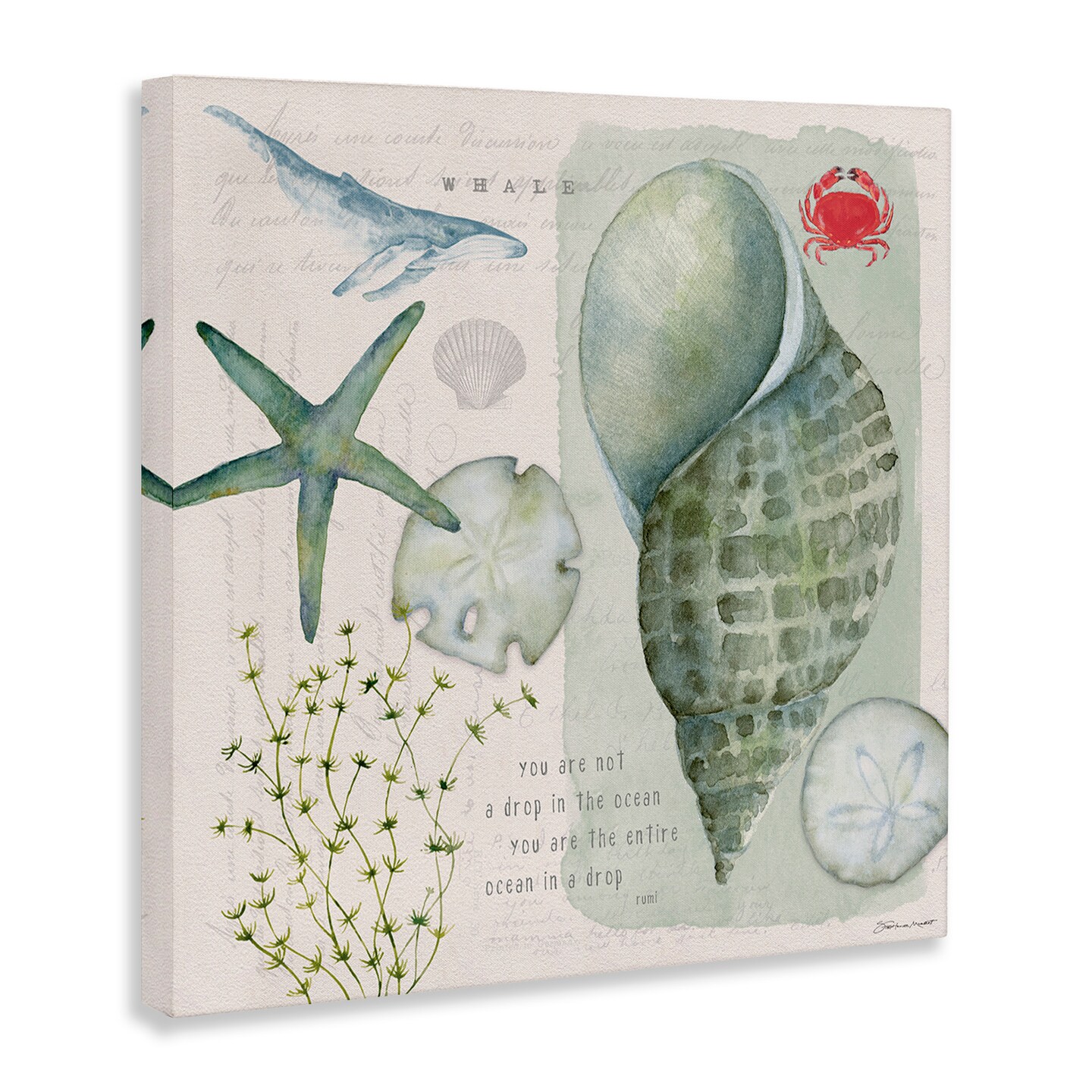 Stupell Industries Sea Shell Inspirational Collage Canvas Wall Art