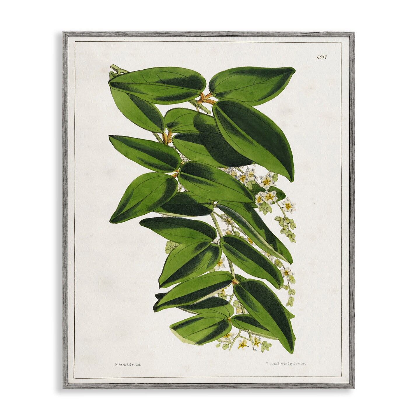 Stupell Industries Stacked Leaves Botanical Framed Giclee Wall Art Design by Tina Higgins Designs, Inc.