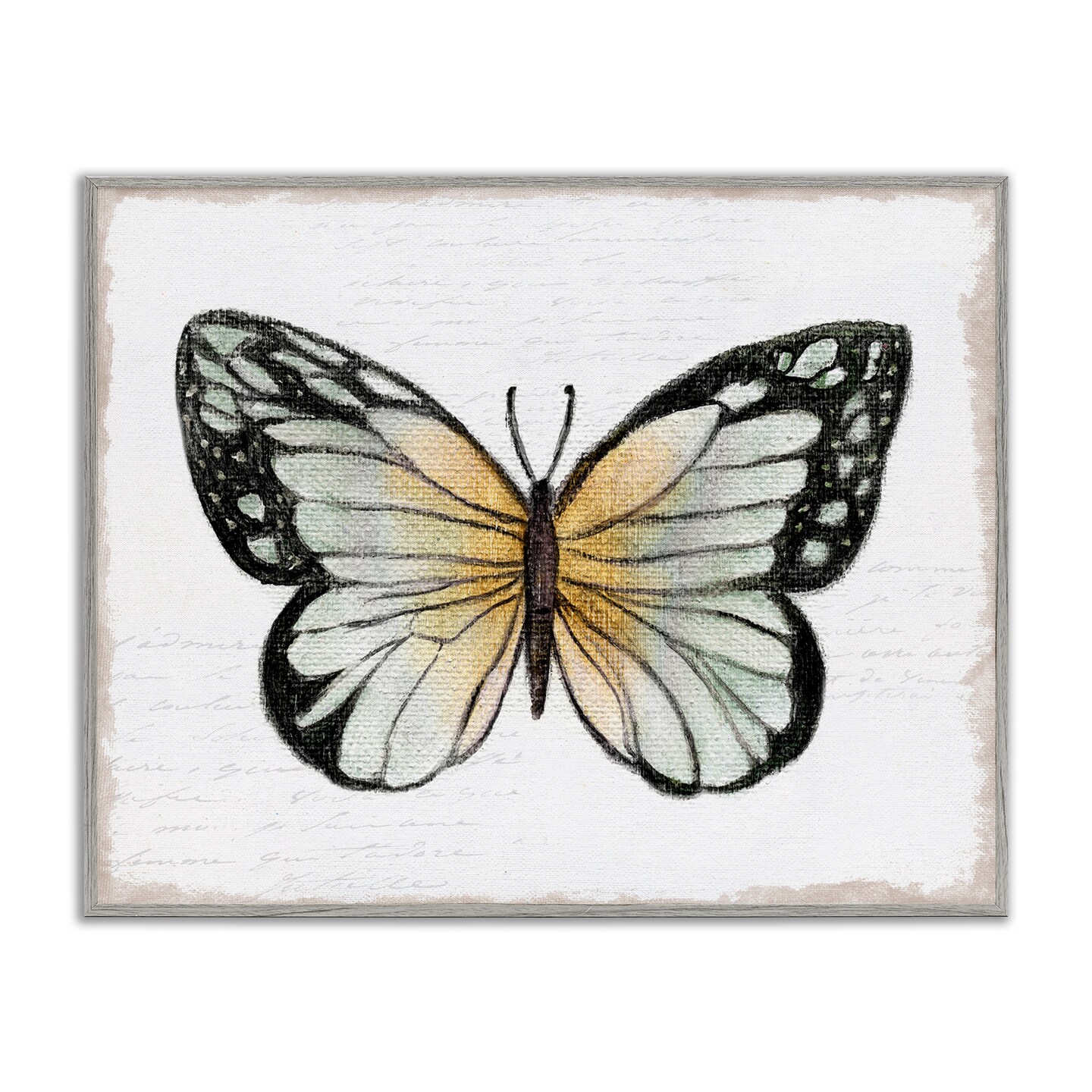Stupell Industries Monarch Butterfly Visage Framed Giclee Wall Art Design by Janet Tava