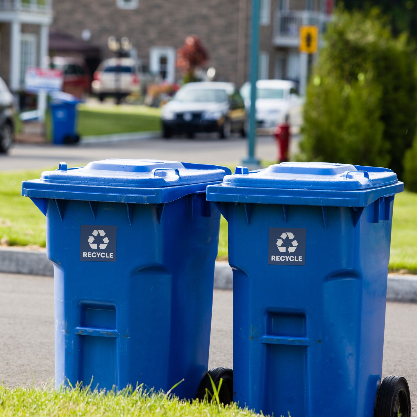 Avery Recycle Stickers, Blue Recycle Signs for Bins, Containers, Trash Cans and Walls, Waterproof, UV Resistant, Preprinted, 4" x 4", 8 Total