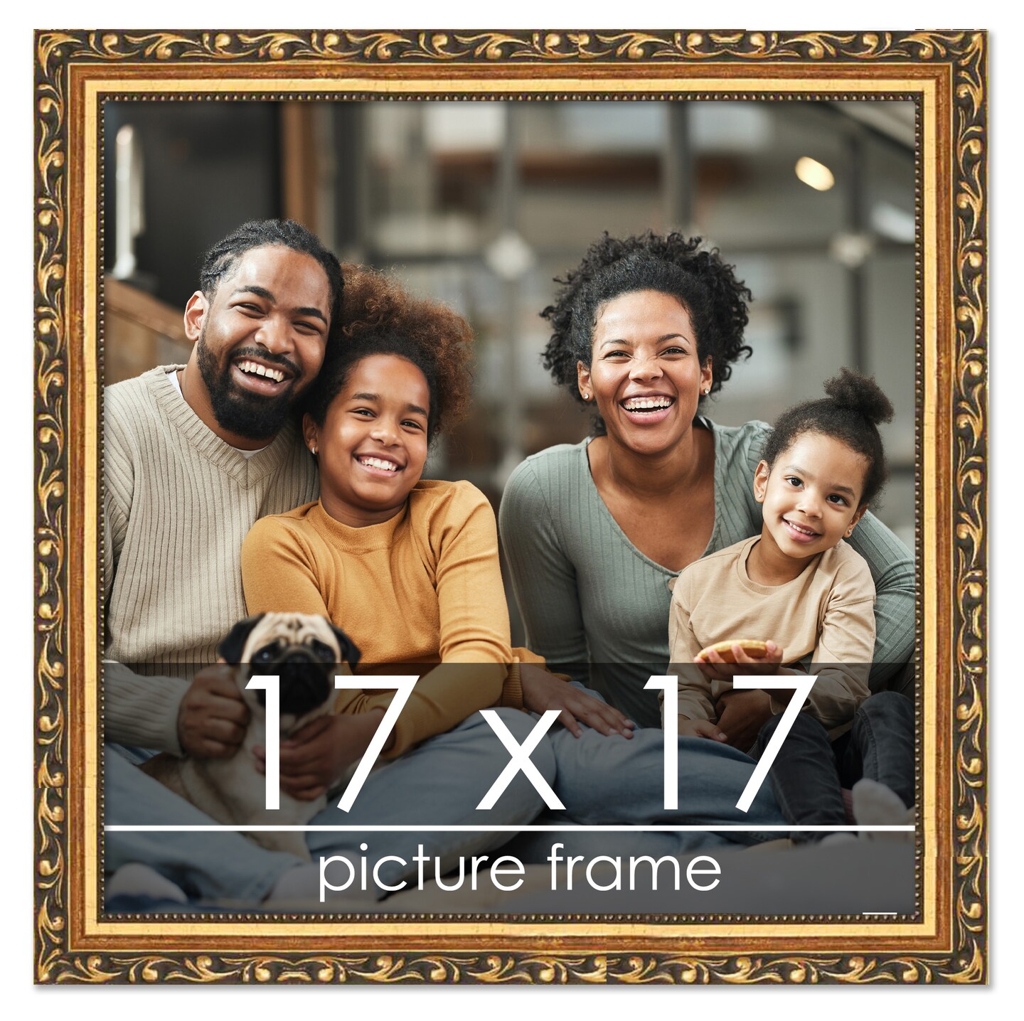 17x17 Museum-Quality Picture Frame with UV-Resistant Acrylic & Acid-Free Backing, Available in 4 Finishes - Gold, Silver, Bronze, and Black