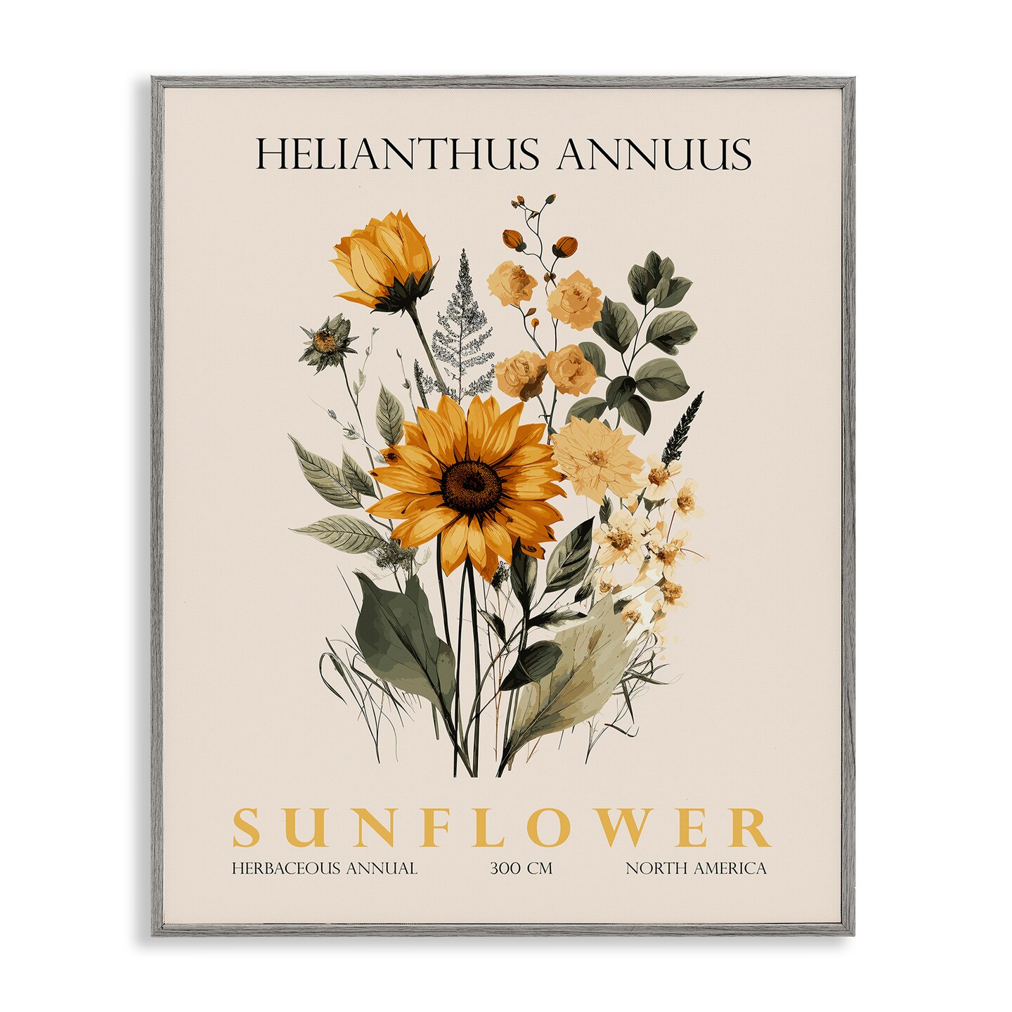 Stupell Industries Natural Sunflower Bundle Framed Giclee, design by Christopher Giampietro