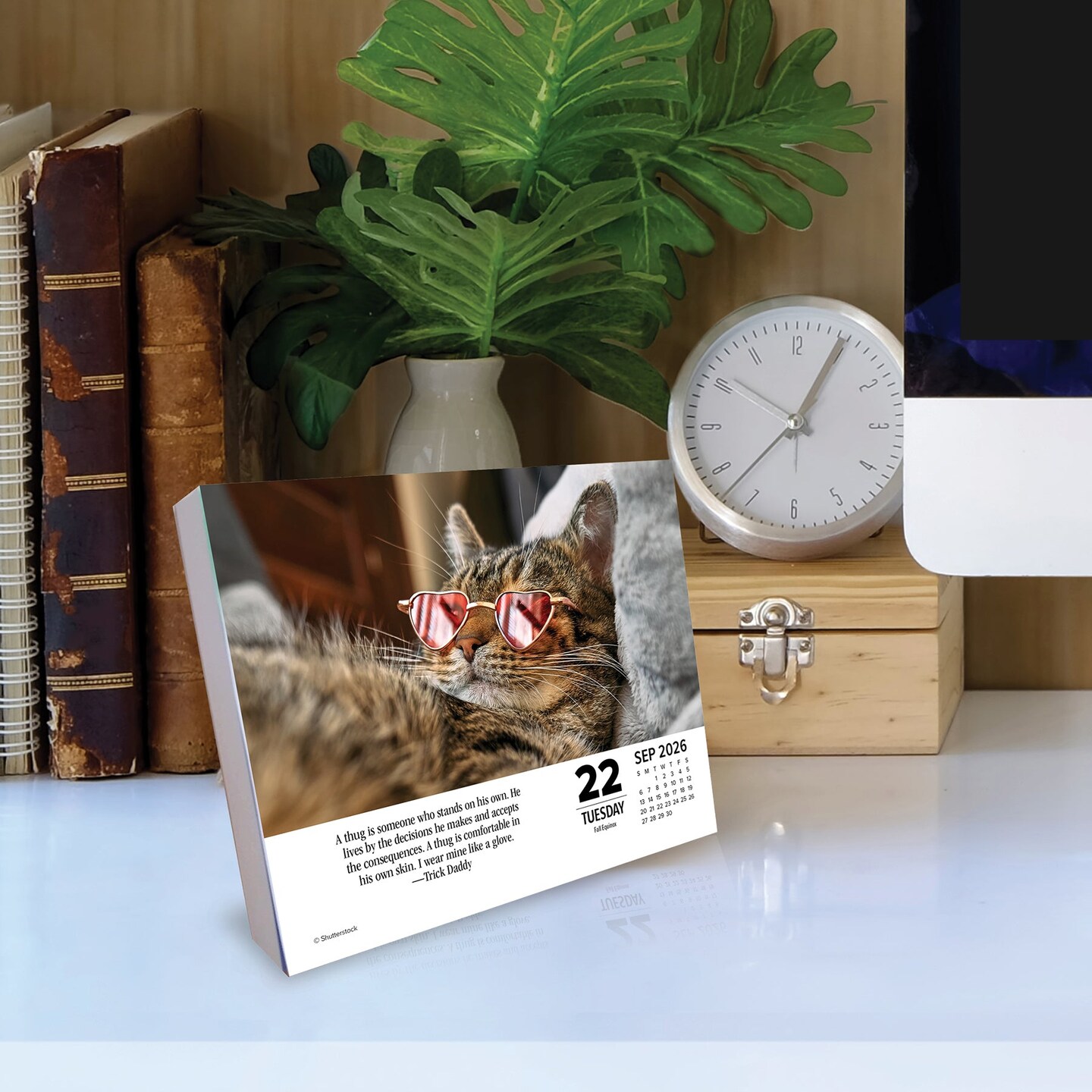 Bad Kitties 2026 Box Calendar