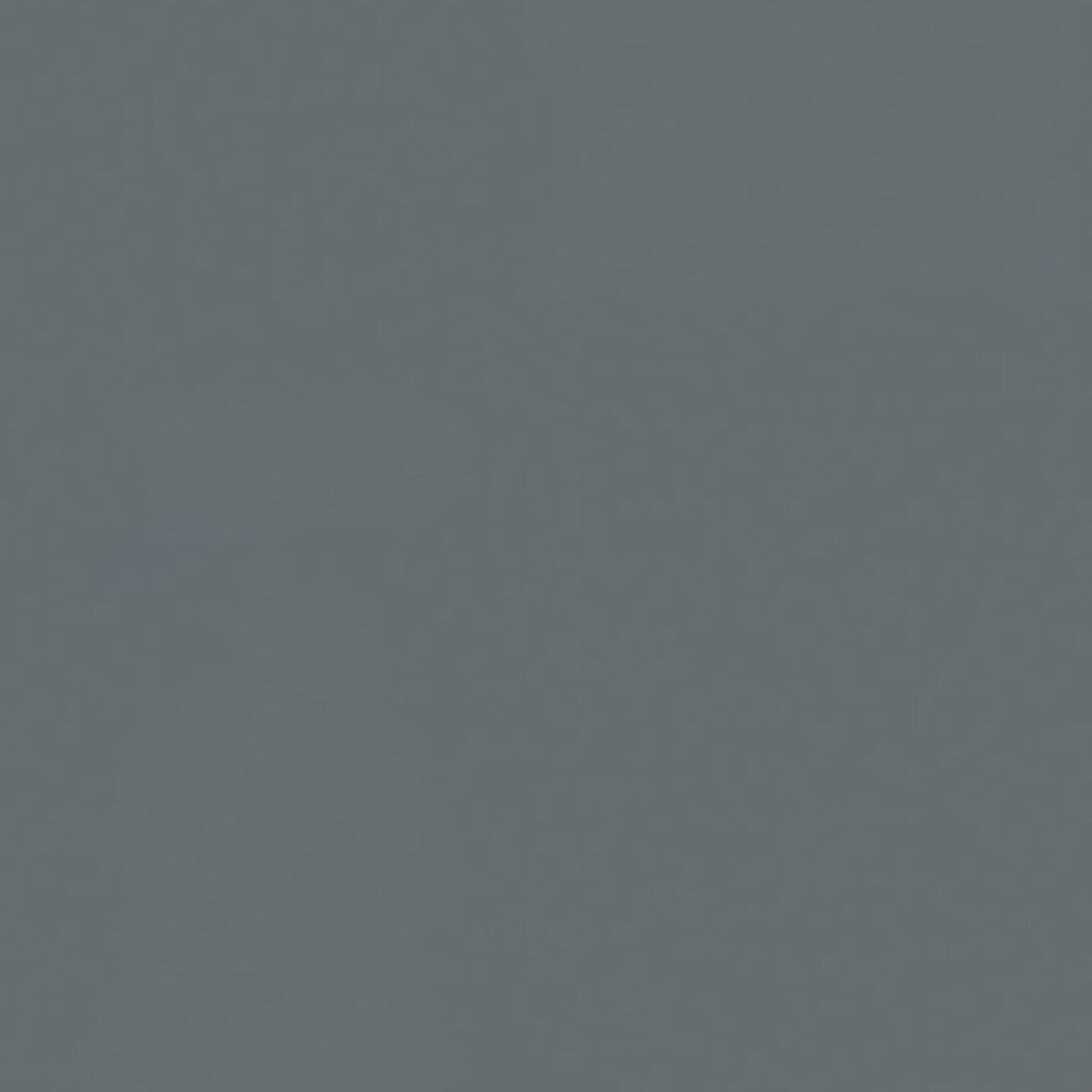 Rust-Oleum Painter&#x27;s Touch Ultra Cover 2X Spray Paint 12oz