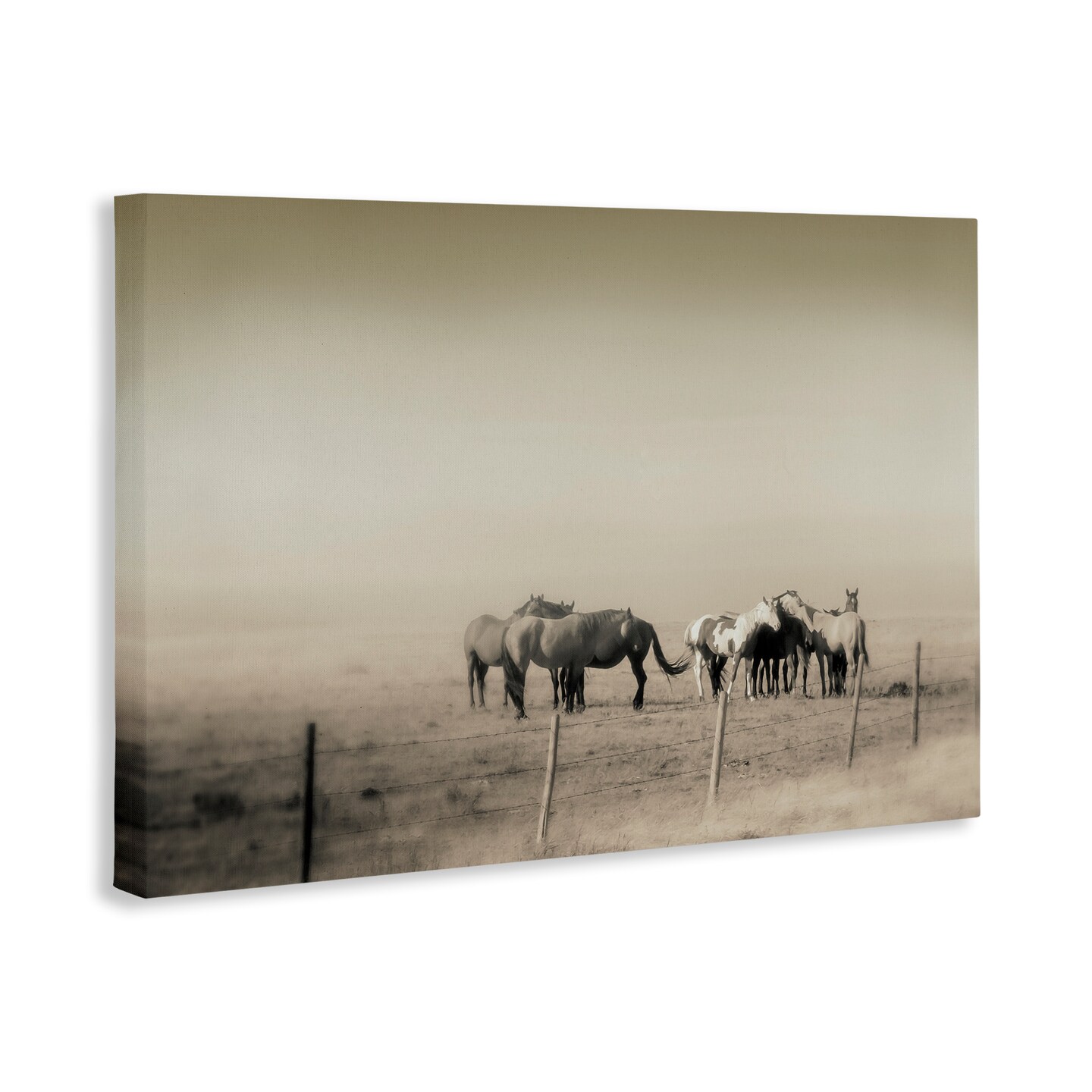 Stupell Industries The Herd Monochrome Horses Canvas, design by Roberta Murray